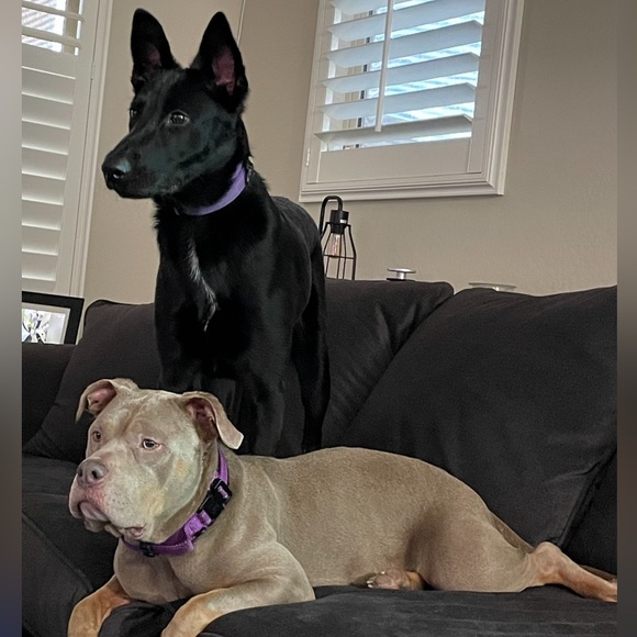 Hi!!!! - Picture 3 of 8